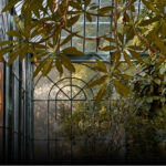 Our Featured Events